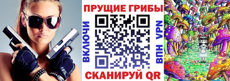 где купить наркоту  Ивангород  Псилоцибиновые грибы мицелий 